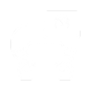 Diagnostic Investigations