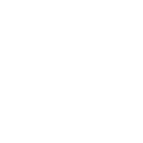 EV Repairs & Servicing