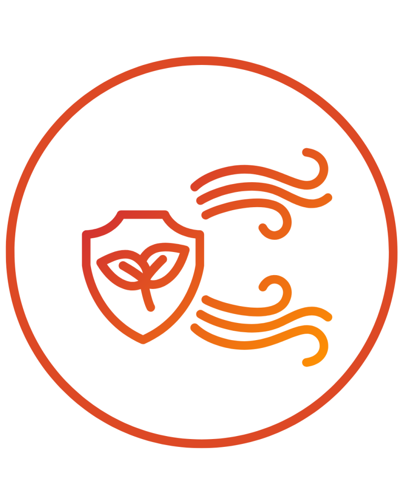 Clean Air Icon