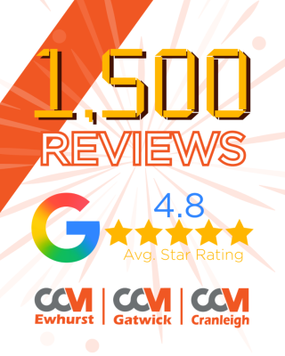 1500 Google Reviews